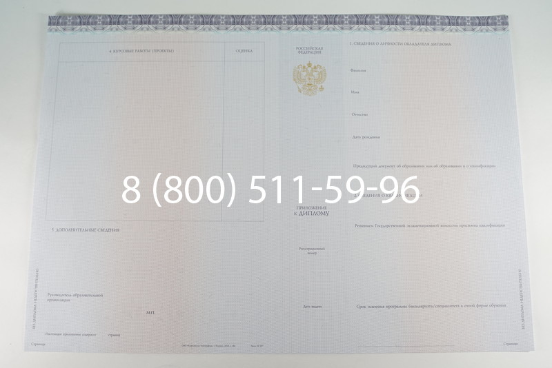 Диплом бакалавра (Киржач) 2014-2024 года в Йошкар-Оле
