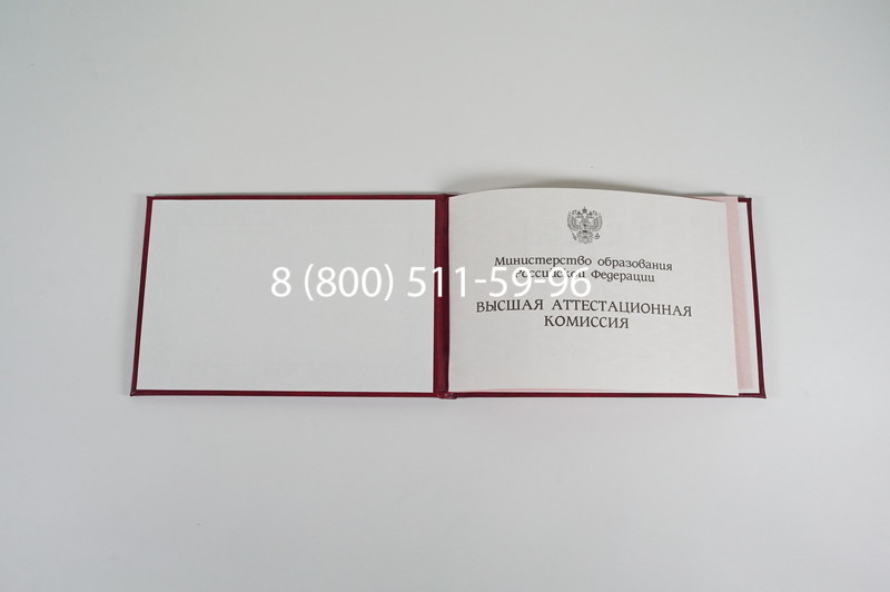 Диплом доктора наук 1995-2006 года в Йошкар-Оле Диплом доктора наук 1995-2006 года в Йошкар-Оле