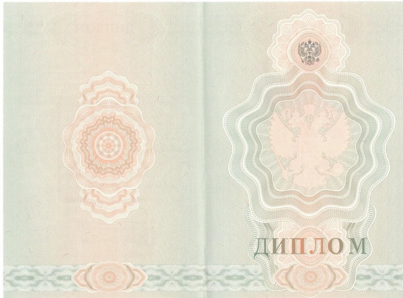 Купить Диплом о начальном образовании  2007-2009 годов в Йошкар-Оле